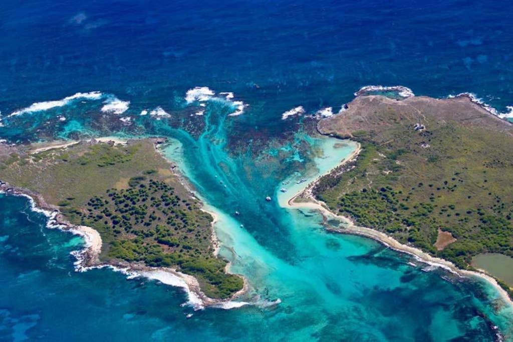 Studio Avec Grande Piscine, Plage Cannelle Caraibes Saint-Francois  Eksteriør bilde