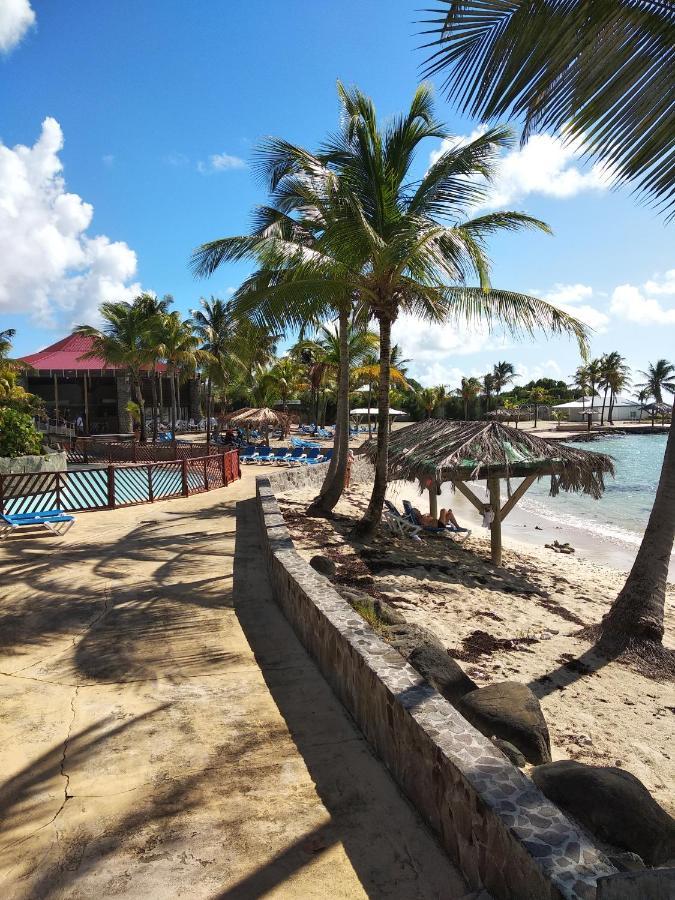 Studio Avec Grande Piscine, Plage Cannelle Caraibes Saint-Francois  Eksteriør bilde